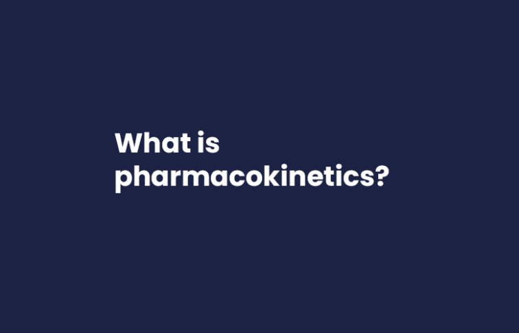What is pharmacokinetics